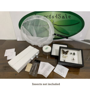 Deluxe Insect Collecting Kit