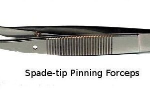 Forceps, spade-tip pinning