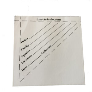 Insect Data Envelopes - pad of 100