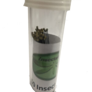 Insect Mounting Pins - pack of 50 pins